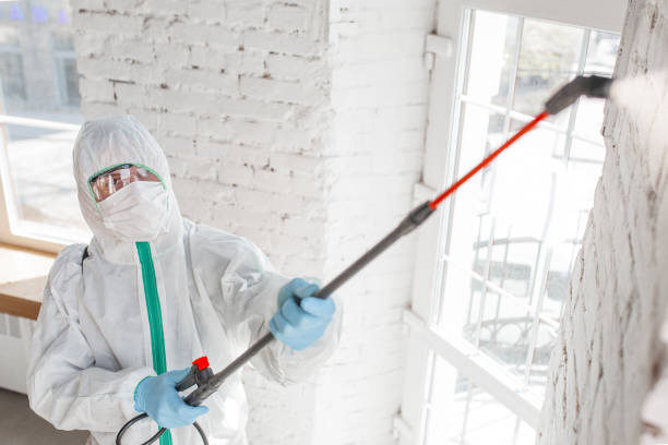 Best Mold Remediation for Healthcare Facilities  in Cherokee, IA