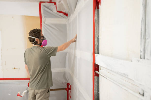 Best Post-Remediation Verification Testing  in Cherokee, IA