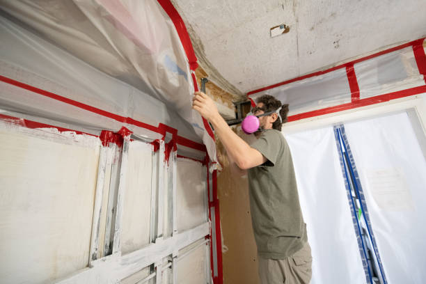 Best Crawl Space Mold Remediation  in Cherokee, IA