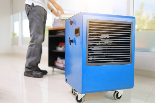 Best Air Quality Testing for Mold Spores  in Cherokee, IA