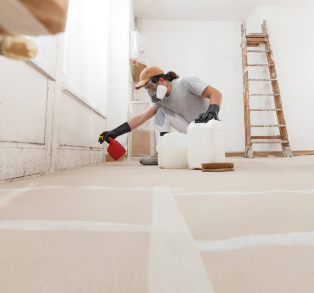 Best Forensic Mold Investigation  in Cherokee, IA
