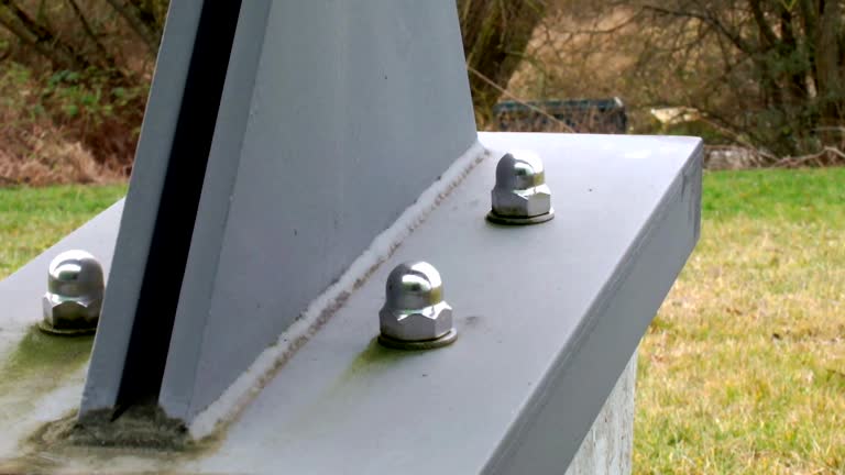 Best Real Estate Mold Inspection  in Cherokee, IA